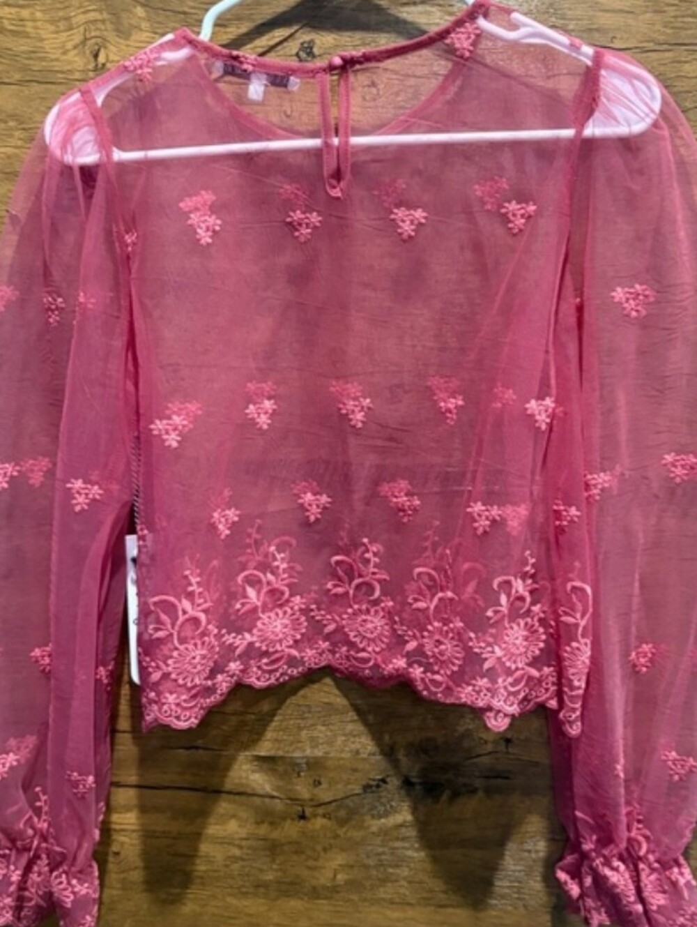 Sheer Embroidered Mesh Blouse in Dusty Rose - Picture 8 of 9